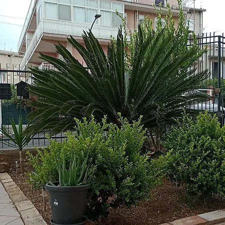 Bed & Breakfast La Cycas Trabia