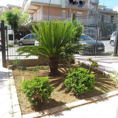 La Cycas *