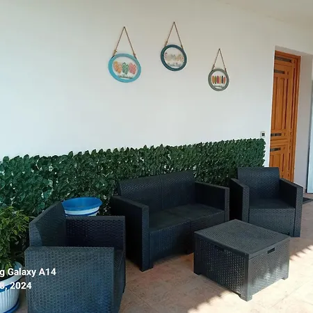 La Cycas Trabia